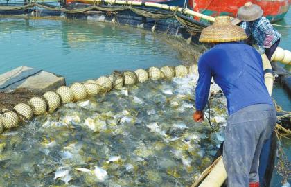 Sustainable Fish Farming: Protecting Our Environment